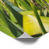 Nieuw-Zeeland, Noord-eiland, Kaapverdië Poster (Hoek)