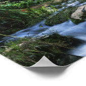 Nieuw-Zeeland, Noord-eiland, Karangahake Gorge, Poster (Hoek)