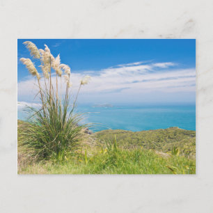 Nieuw-Zeeland, Noordereiland, Kaap Reinga Briefkaart