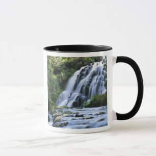 Nieuw-Zeeland, Noordereiland, Karangahake Gorge, Mok