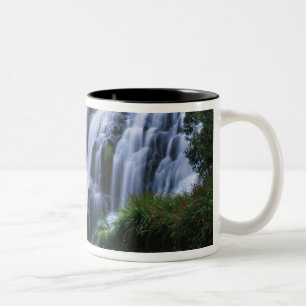 Nieuw-Zeeland, Noordereiland, Karangahake Gorge, Tweekleurige Koffiemok