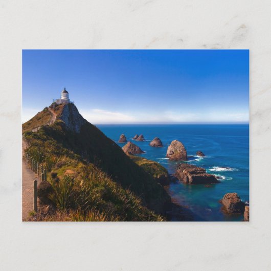 Nieuw-Zeeland: Nugget Point Briefkaart (Voorkant)