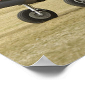 Nieuw-Zeeland, Otago, Wanaka, Warvogels ouder dan  Poster (Hoek)