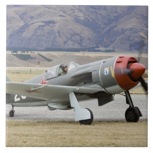 Nieuw-Zeeland, Otago, Wanaka, Warvogels ouder dan  Tegeltje (Voorkant)