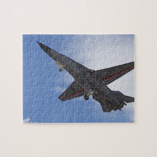 Nieuw-Zeeland, Otago, Wanaka, Warvogels over Legpuzzel (Horizontaal)