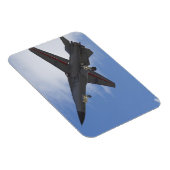 Nieuw-Zeeland, Otago, Wanaka, Warvogels over Magneet (Rechterzijde)