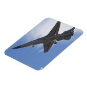 Nieuw-Zeeland, Otago, Wanaka, Warvogels over Magneet (Linkerzijde)