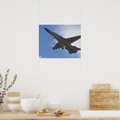 Nieuw-Zeeland, Otago, Wanaka, Warvogels over Poster (Keuken)