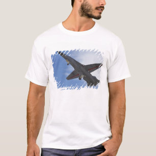 Nieuw-Zeeland, Otago, Wanaka, Warvogels over T-shirt