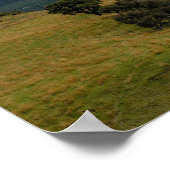 Nieuw-Zeeland Panoramiek 2 Poster (Hoek)