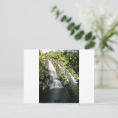 Nieuw-Zeeland per Natuur Briefkaart (Staand voorkant)