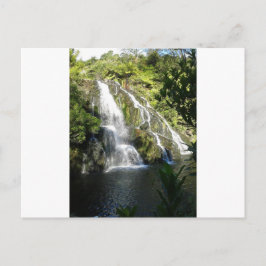 Nieuw-Zeeland per Natuur Briefkaart