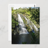 Nieuw-Zeeland per Natuur Briefkaart (Voorkant / Achterkant)