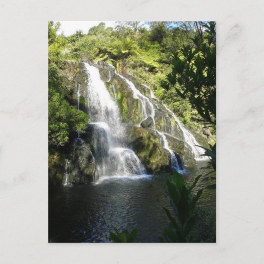 Nieuw-Zeeland per Natuur Briefkaart (Voorkant)