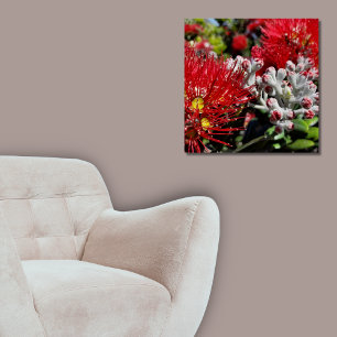 Nieuw-Zeeland Pohutukawa Tree Red Blossom Perfect Poster