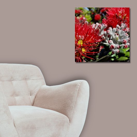 Nieuw-Zeeland Pohutukawa Tree Red Blossom Perfect Poster