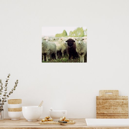 Nieuw-Zeeland Poster (Keuken)