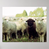 Nieuw-Zeeland Poster (Voorkant)