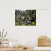 Nieuw-Zeeland poster ter identificatie van vogels (Keuken)