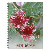 Nieuw-Zeeland Rode Floral Feijoa Blossom Notitieboek (Voorkant)