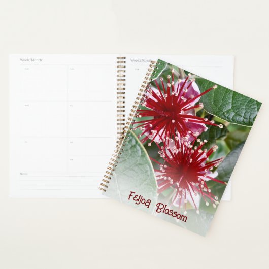 Nieuw-Zeeland Rode Floral Feijoa Blossom Planner (Display)