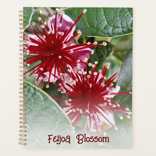 Nieuw-Zeeland Rode Floral Feijoa Blossom Planner (Voorkant)