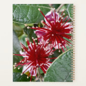 Nieuw-Zeeland Rode Floral Feijoa Blossom Planner (Achterkant)