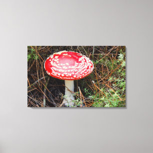Nieuw-Zeeland, Rotorua, Taupo Volcanic Zone Canvas Afdruk