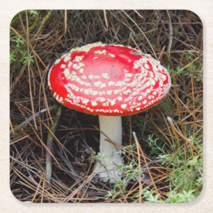 Nieuw-Zeeland, Rotorua, Taupo Volcanic Zone Kartonnen Onderzetters