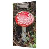 Nieuw-Zeeland, Rotorua, Taupo Volcanic Zone Klembord (Links)