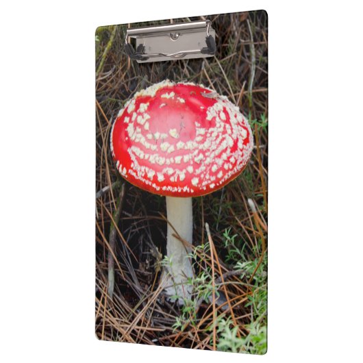 Nieuw-Zeeland, Rotorua, Taupo Volcanic Zone Klembord (Links)