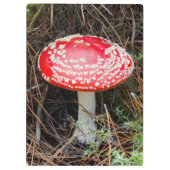 Nieuw-Zeeland, Rotorua, Taupo Volcanic Zone Klembord (Achterkant)