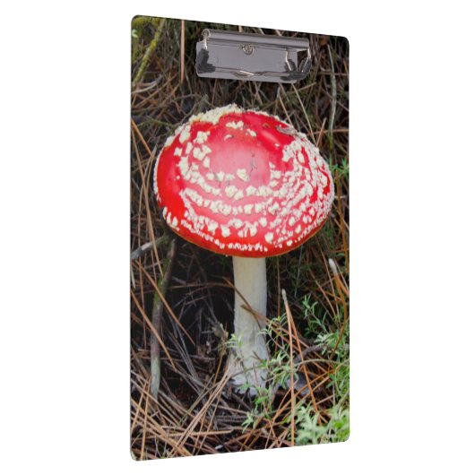 Nieuw-Zeeland, Rotorua, Taupo Volcanic Zone Klembord (Rechts)