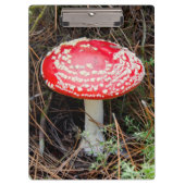 Nieuw-Zeeland, Rotorua, Taupo Volcanic Zone Klembord (Voorkant)