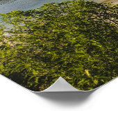 Nieuw-Zeeland, Southland, Stewart Island, Halfmoon Poster (Hoek)