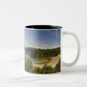 Nieuw-Zeeland, Southland, Stewart Island, Halfmoon Tweekleurige Koffiemok