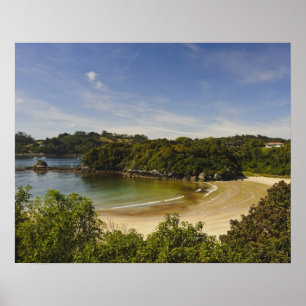 Nieuw-Zeeland, Southland, Stewart Island, Halvemaa Poster