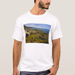 Nieuw-Zeeland, Southland, Stewart Island. Kelp T-shirt