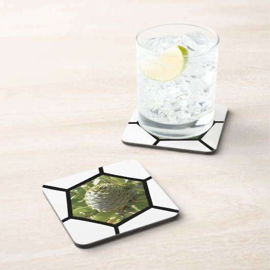 Nieuw-Zeeland Souvenir Kauri Cone Bier Onderzetter (Rechterzijde)