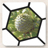 Nieuw-Zeeland Souvenir Kauri Cone Bier Onderzetter (Voorkant)