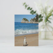 Nieuw-Zeeland Zuid-eiland Briefkaart (Staand voorkant)