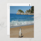 Nieuw-Zeeland Zuid-eiland Briefkaart (Voorkant / Achterkant)