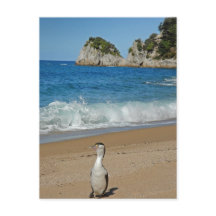 Nieuw-Zeeland Zuid-eiland