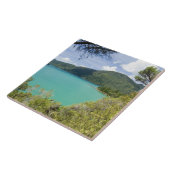 Nieuw-Zeeland, Zuid-eiland, Marlborough Klinkt. Tegeltje (Zijkant)