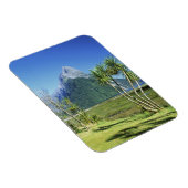 Nieuw-Zeeland, Zuid-eiland, Miter Peak, Magneet (Rechterzijde)