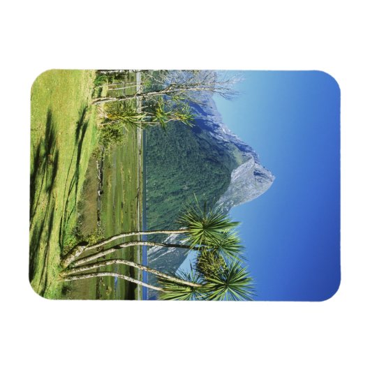 Nieuw-Zeeland, Zuid-eiland, Miter Peak, Magneet (Horizontaal)