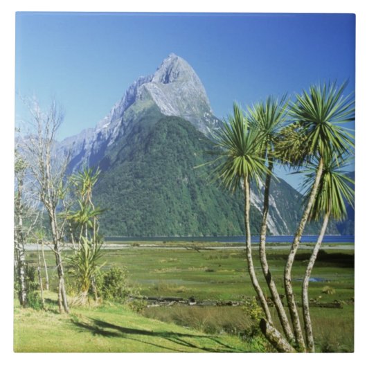 Nieuw-Zeeland, Zuid-eiland, Miter Peak, Tegeltje (Voorkant)