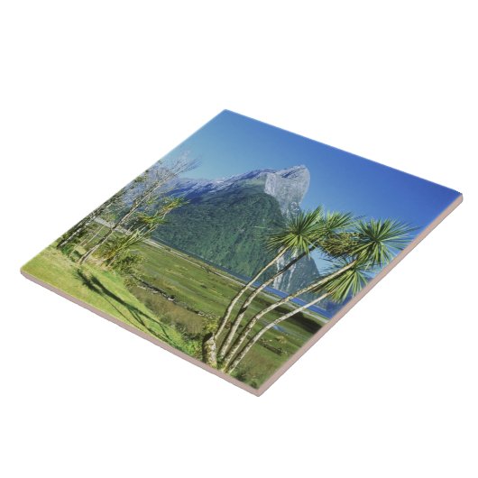 Nieuw-Zeeland, Zuid-eiland, Miter Peak, Tegeltje (Zijkant)