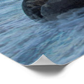 Nieuw-Zeeland, Zuid-eiland, Moeraki Boulders Poster (Hoek)