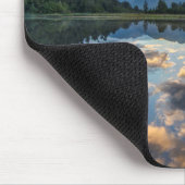 Nieuw-Zeeland, Zuid-eiland, Westland National Muismat (Hoek)